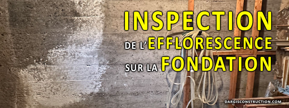 Inspection, consultation et solution à l'efflorescence sur la fondation et à l'effritement du béton par des ingénieurs et entrepreneurs - Daniel Dargis expert-conseil